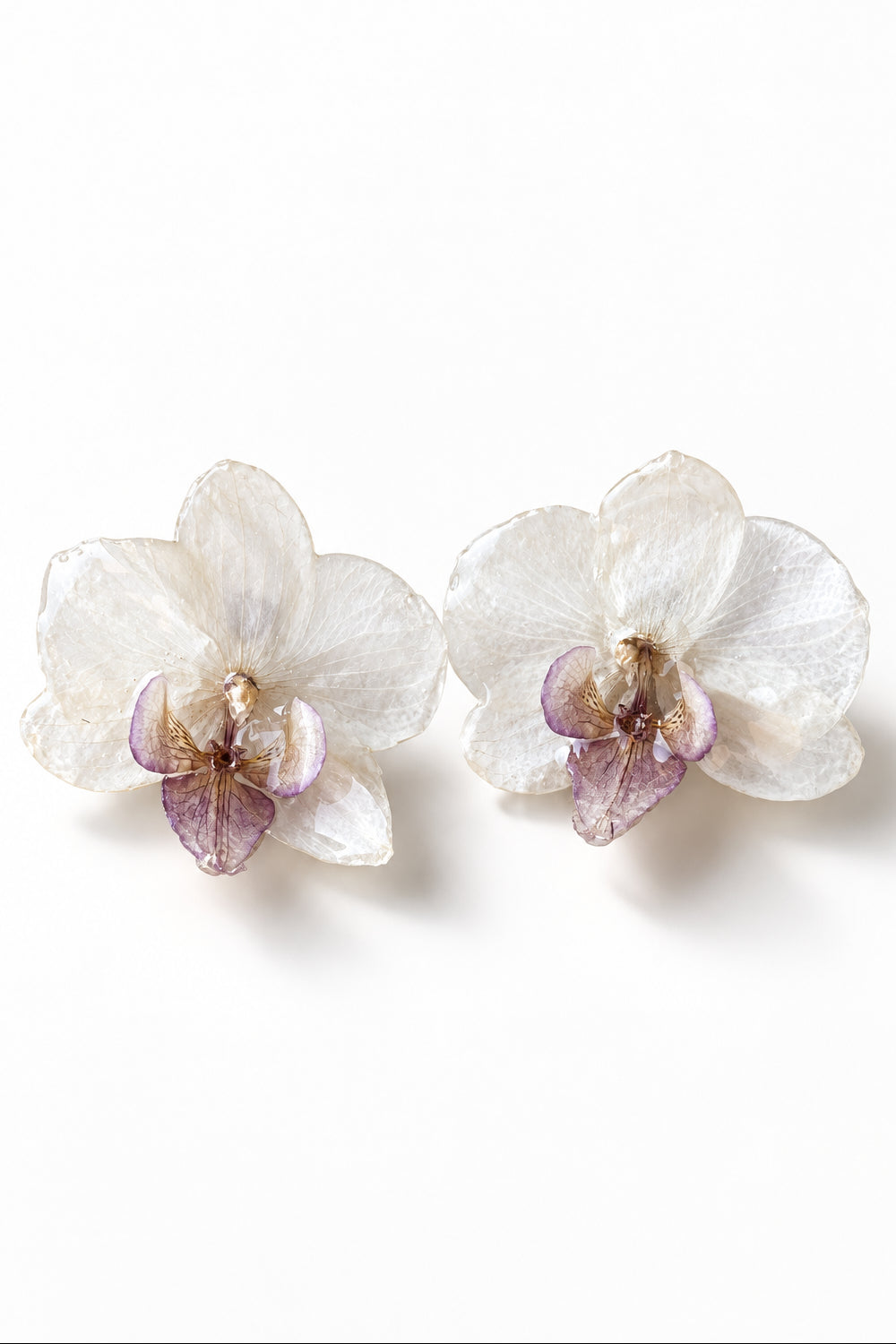 Orecchini fiori - orchidea bianca