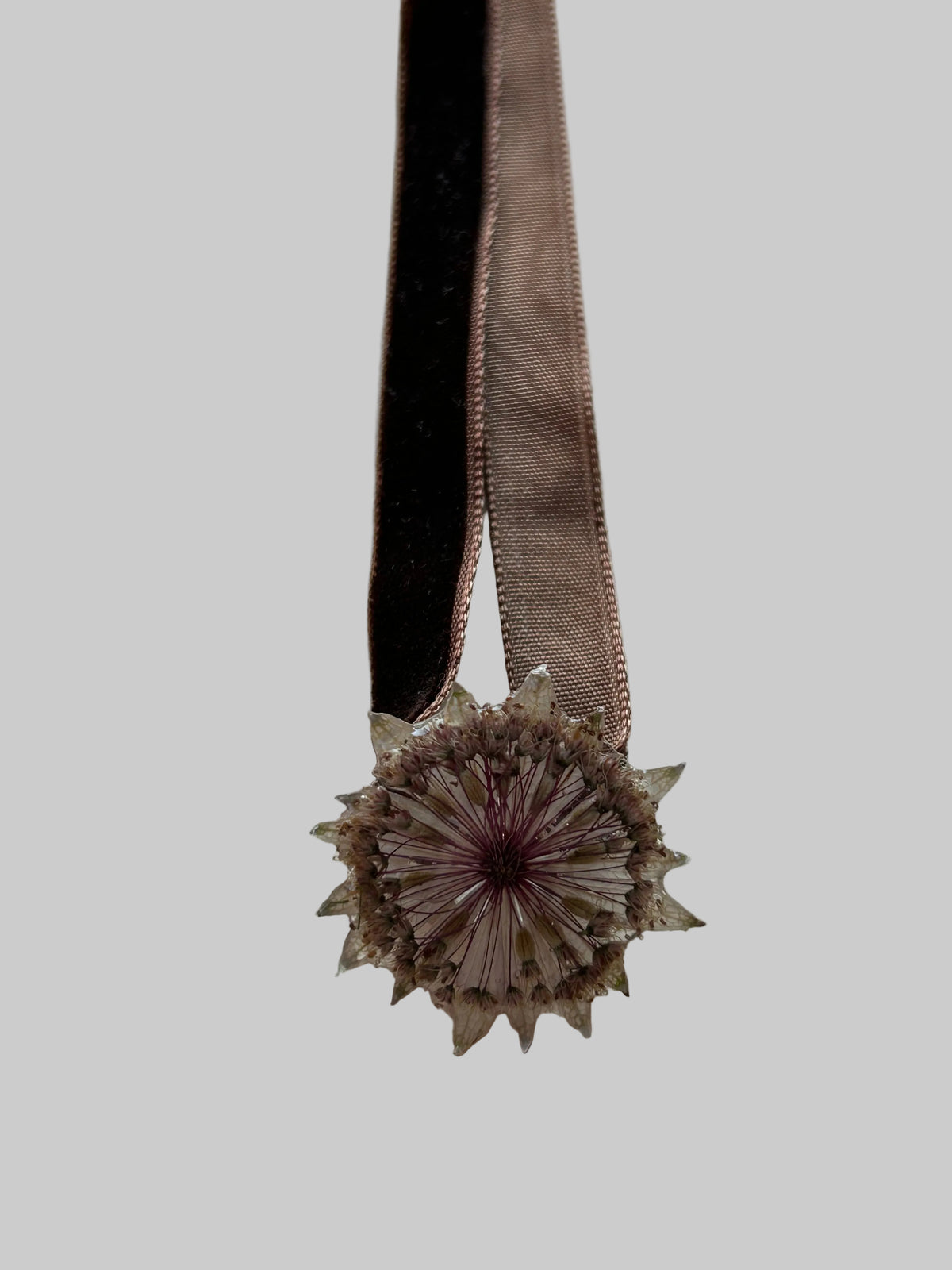 Collana fiori - astranzia maggiore