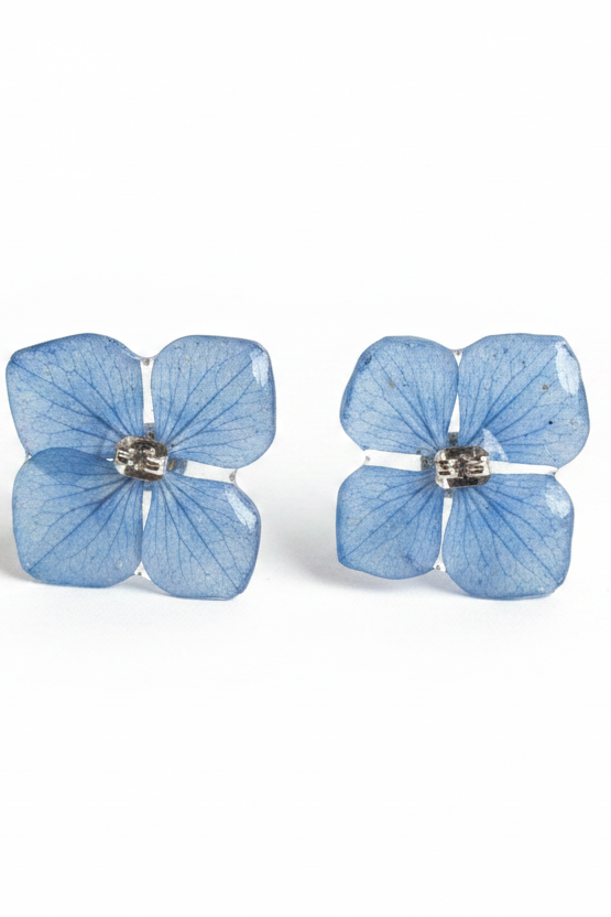 Orecchini idrangea blu su sfondo bianco